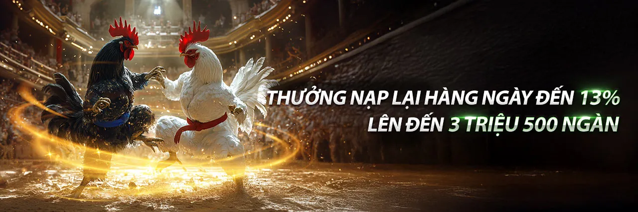 Hình ảnh chính trang blog rik88 trang chủ chính thức