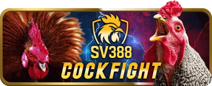 Ưu đãi hấp dẫn Rik88